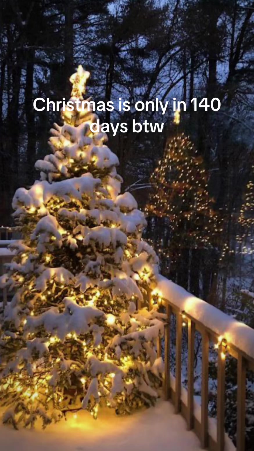 @christmas vibes!