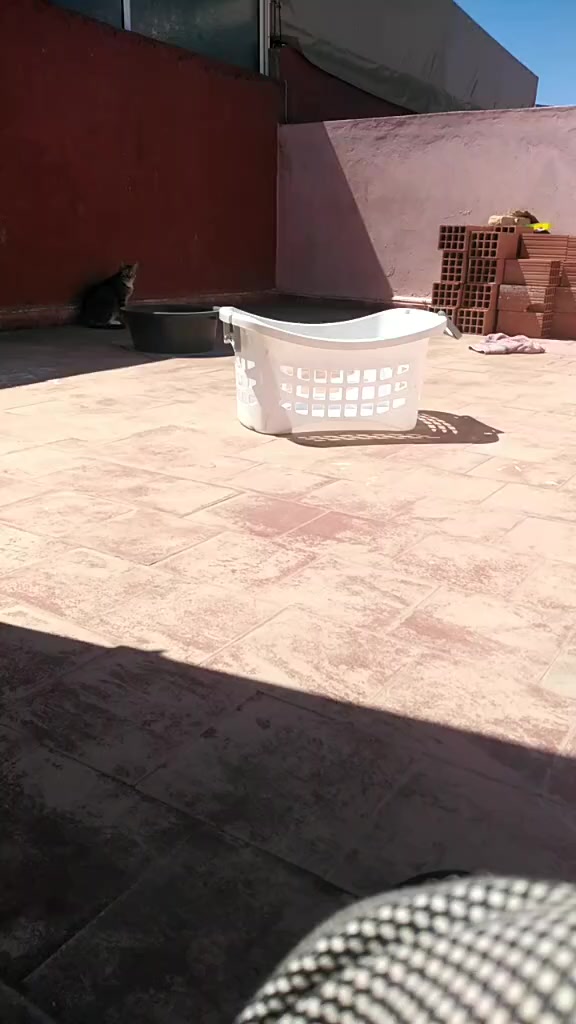 @عاشقة أبيها