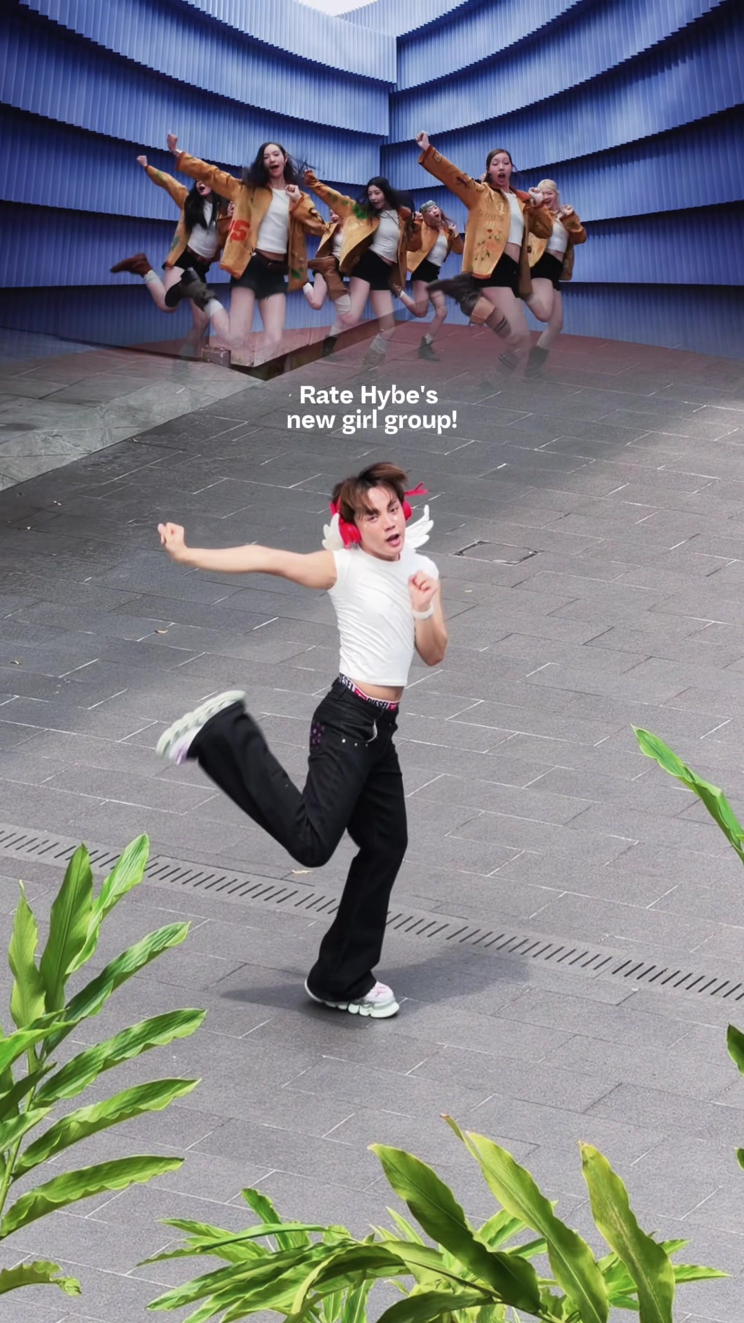 @알렉스 Alex