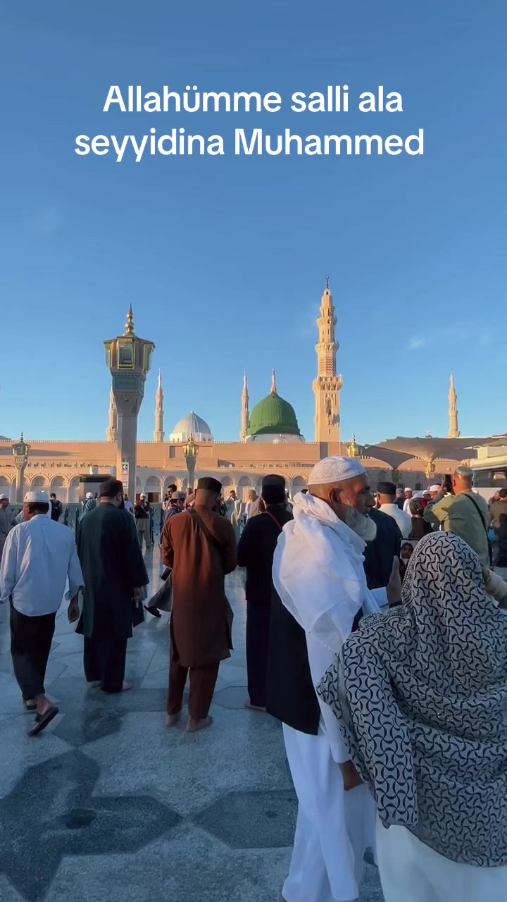 @hayalimm.