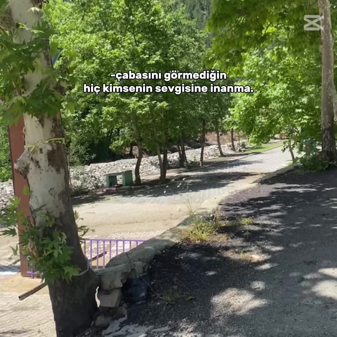 @berat can tokbay