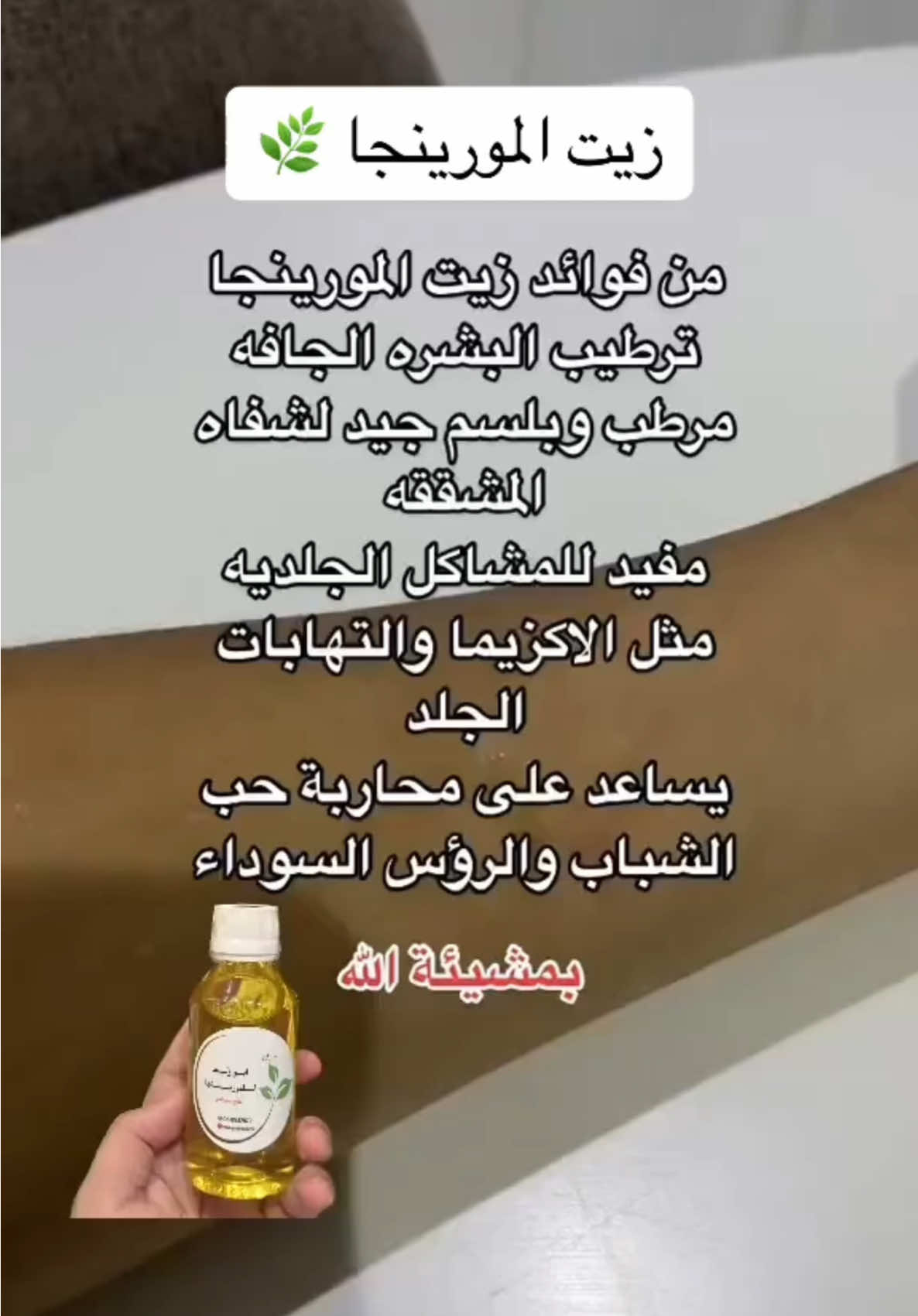 @مزارع ابو وليد للمورينجا 🌿