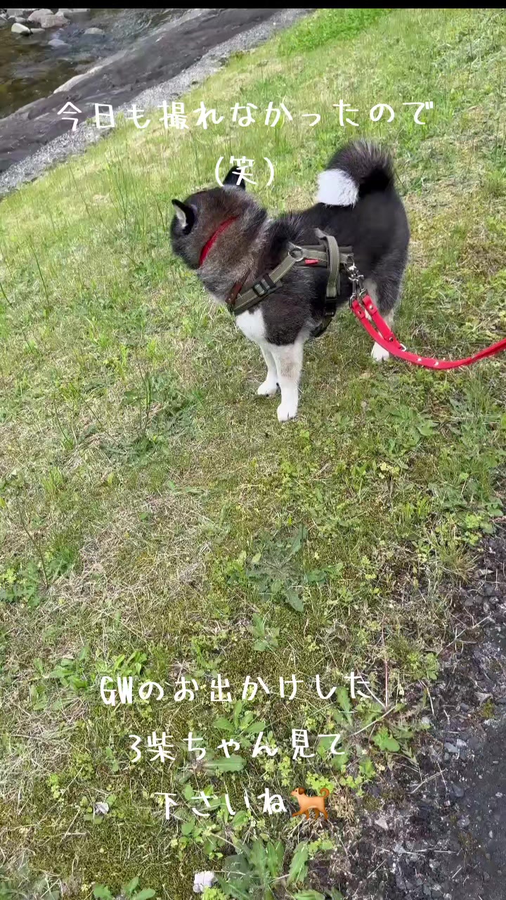 @111シンゴ