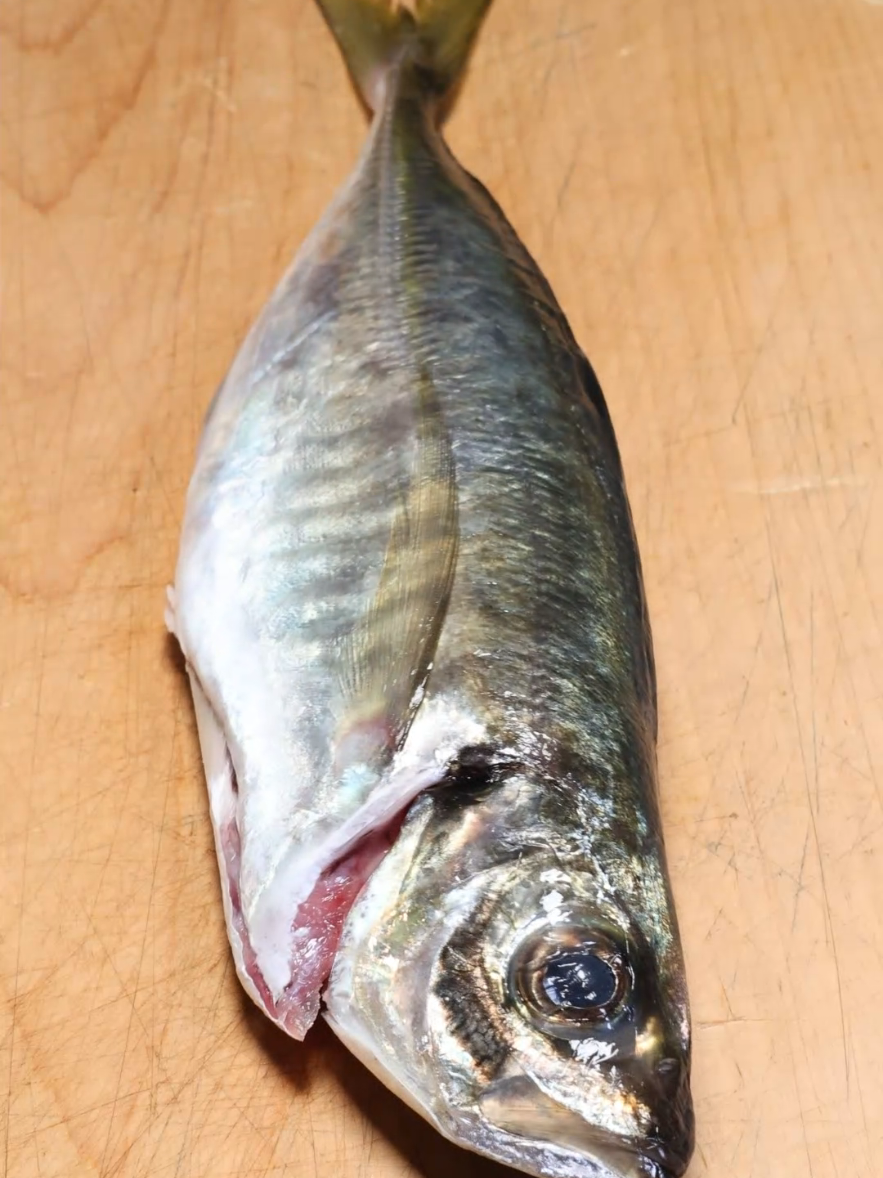 @セイゴ水産