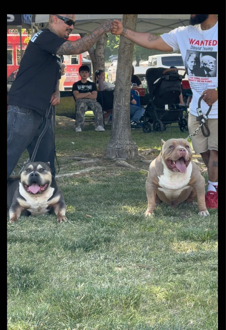 @@Dublinekennels
