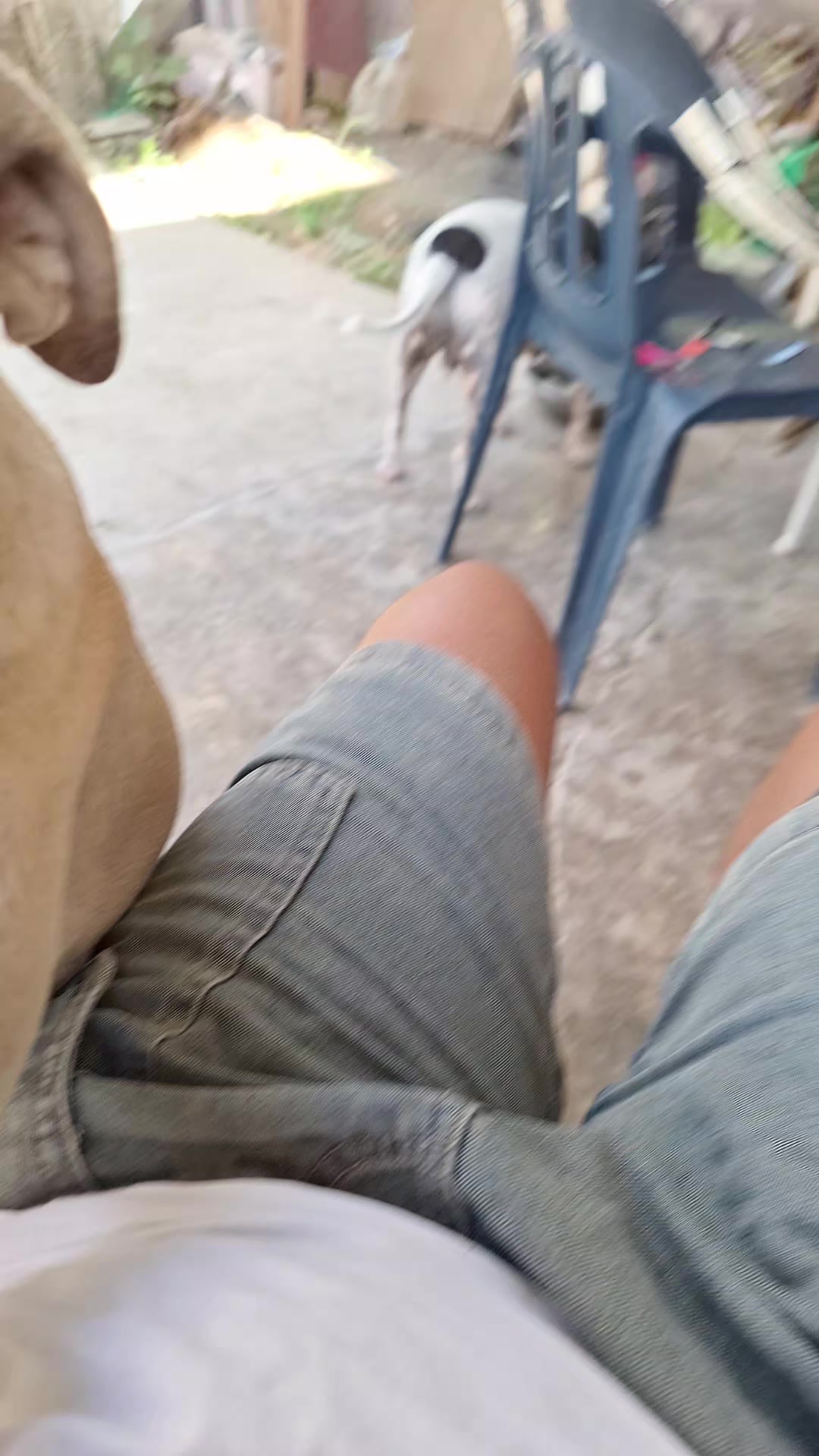 @MANCHAS 0714 OFICIAL