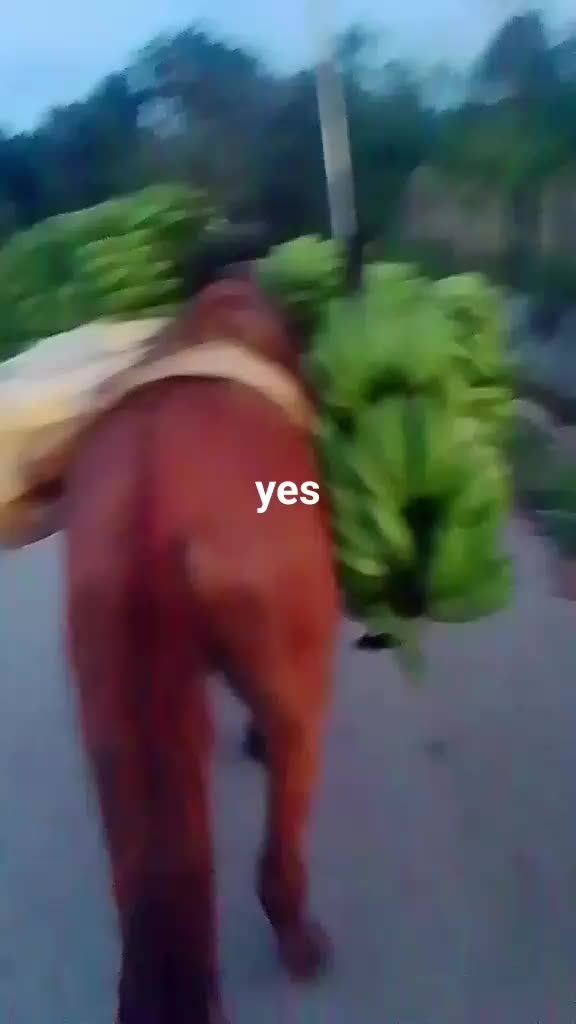 @JEAN.PIERRE