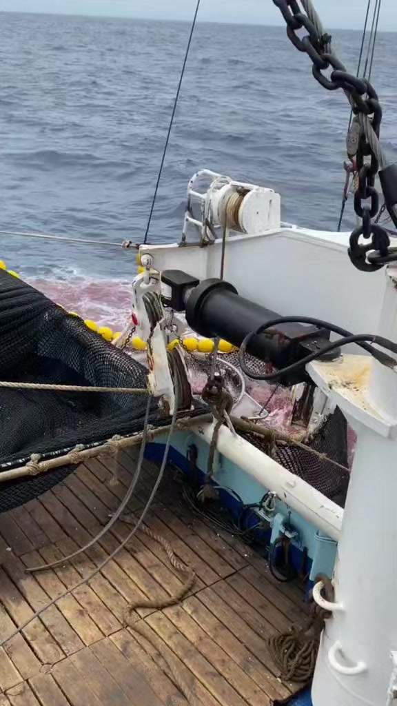 @🚢hàmìdø⚓⚡Ræysë🐬🏴☠️