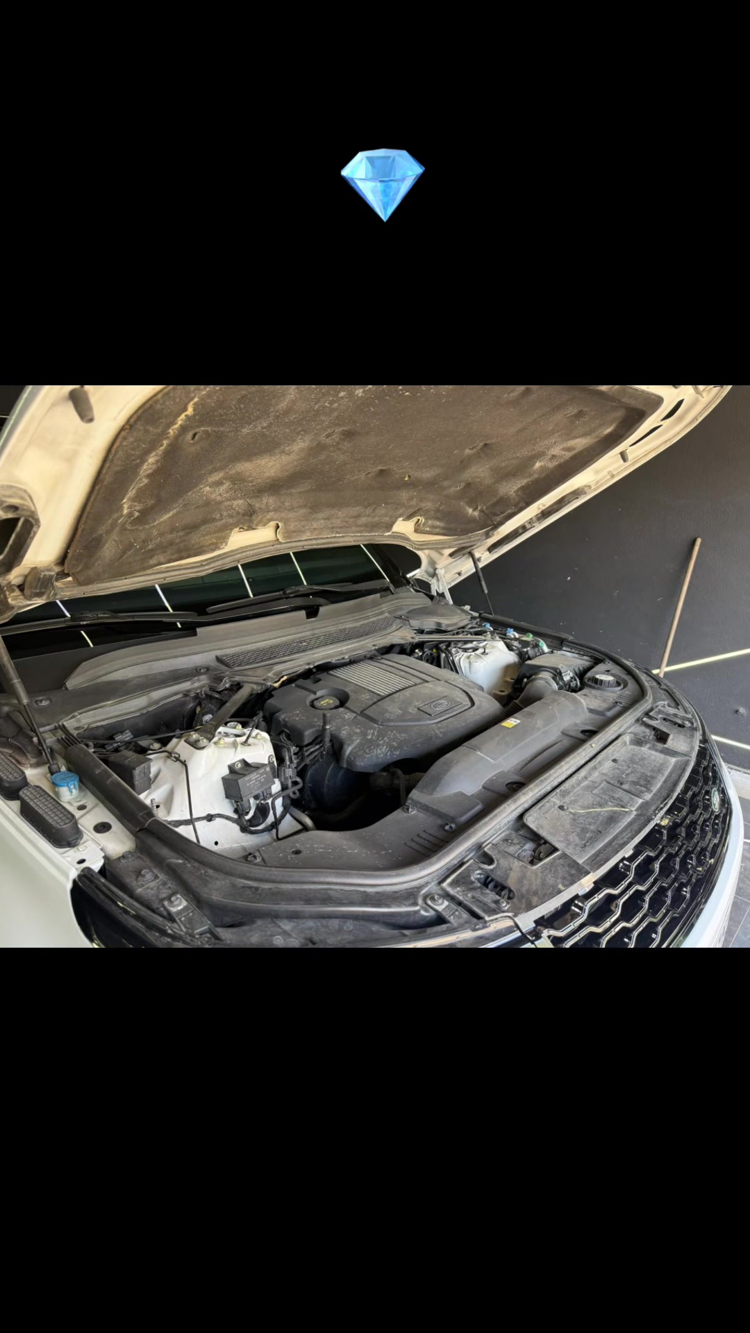 @Auto Nerguti