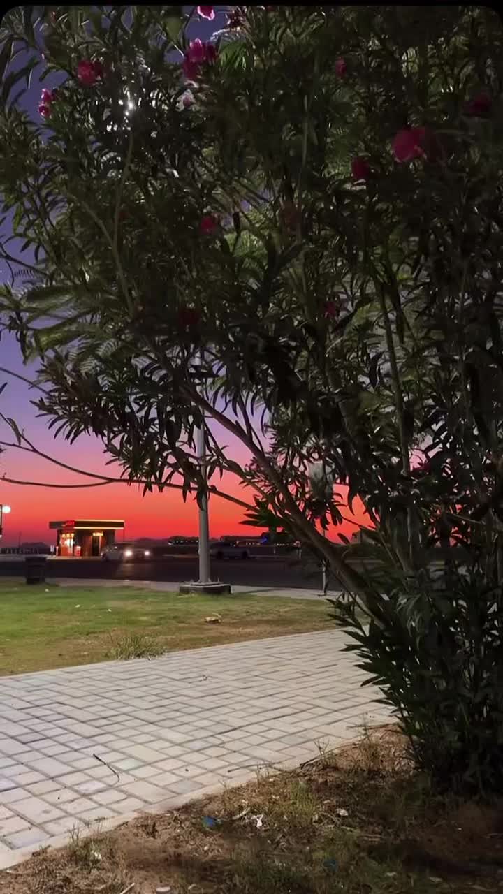 @balharbi19