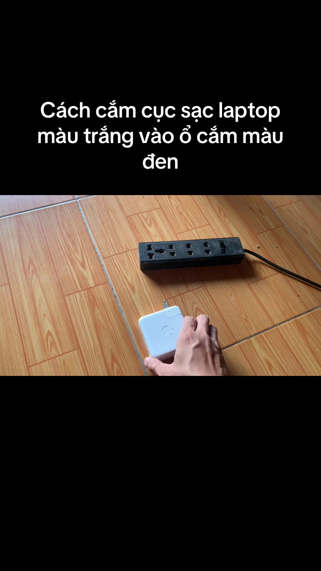 @Mèo thông thái