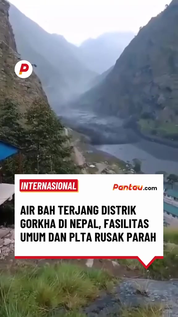 @pantau.com