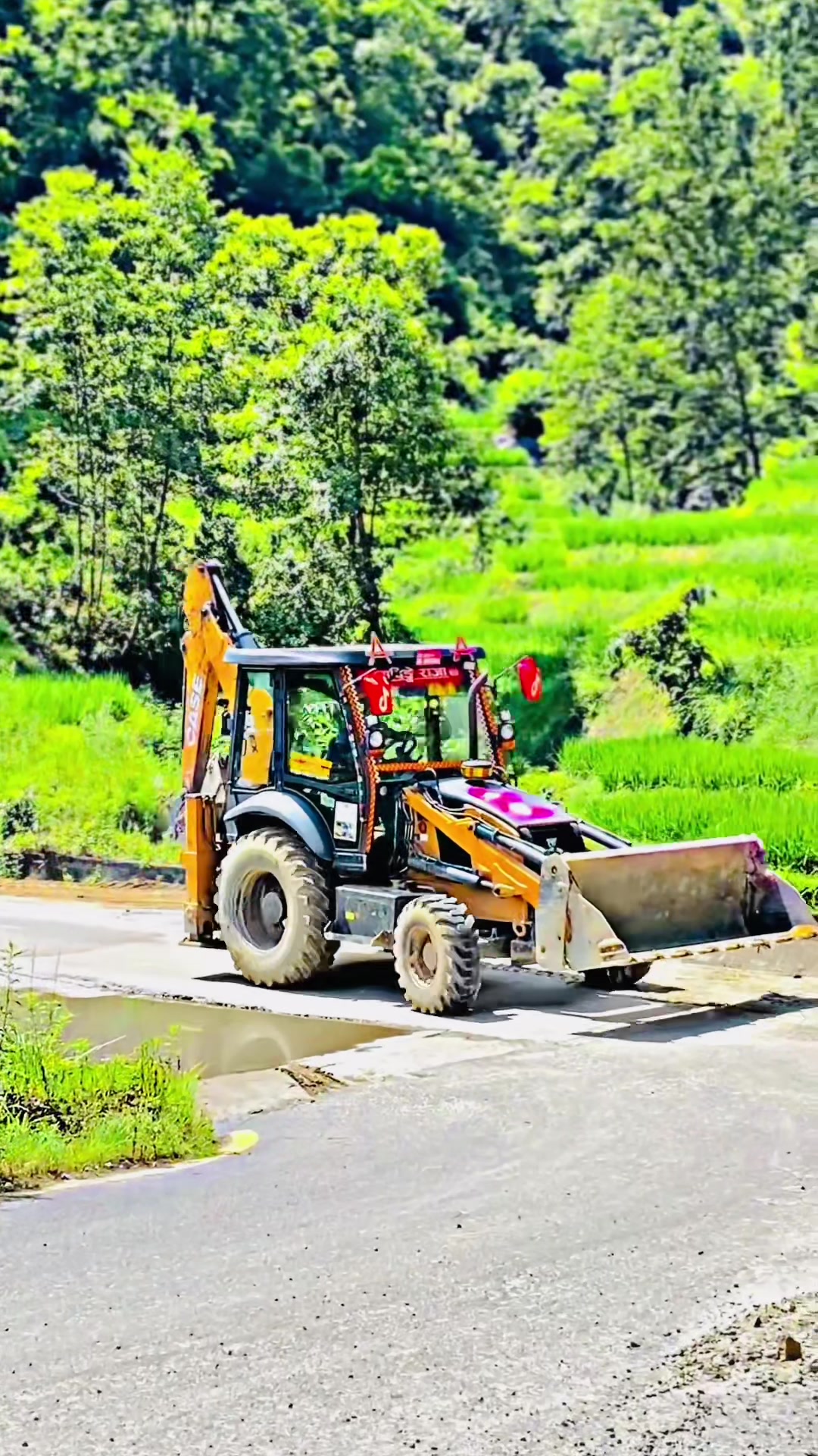 @धादिङ्गे राजा015