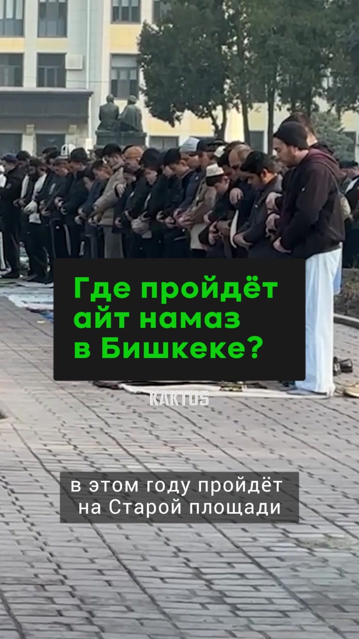 @Kaktus.media