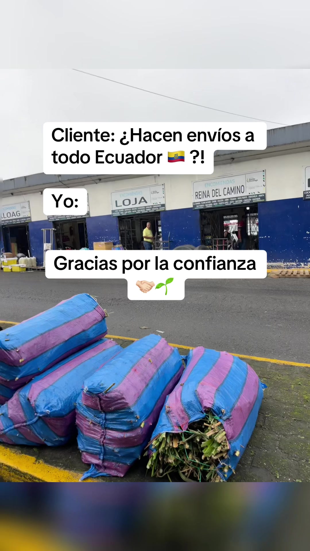 @Pastos y Leguminosas - Ecuador