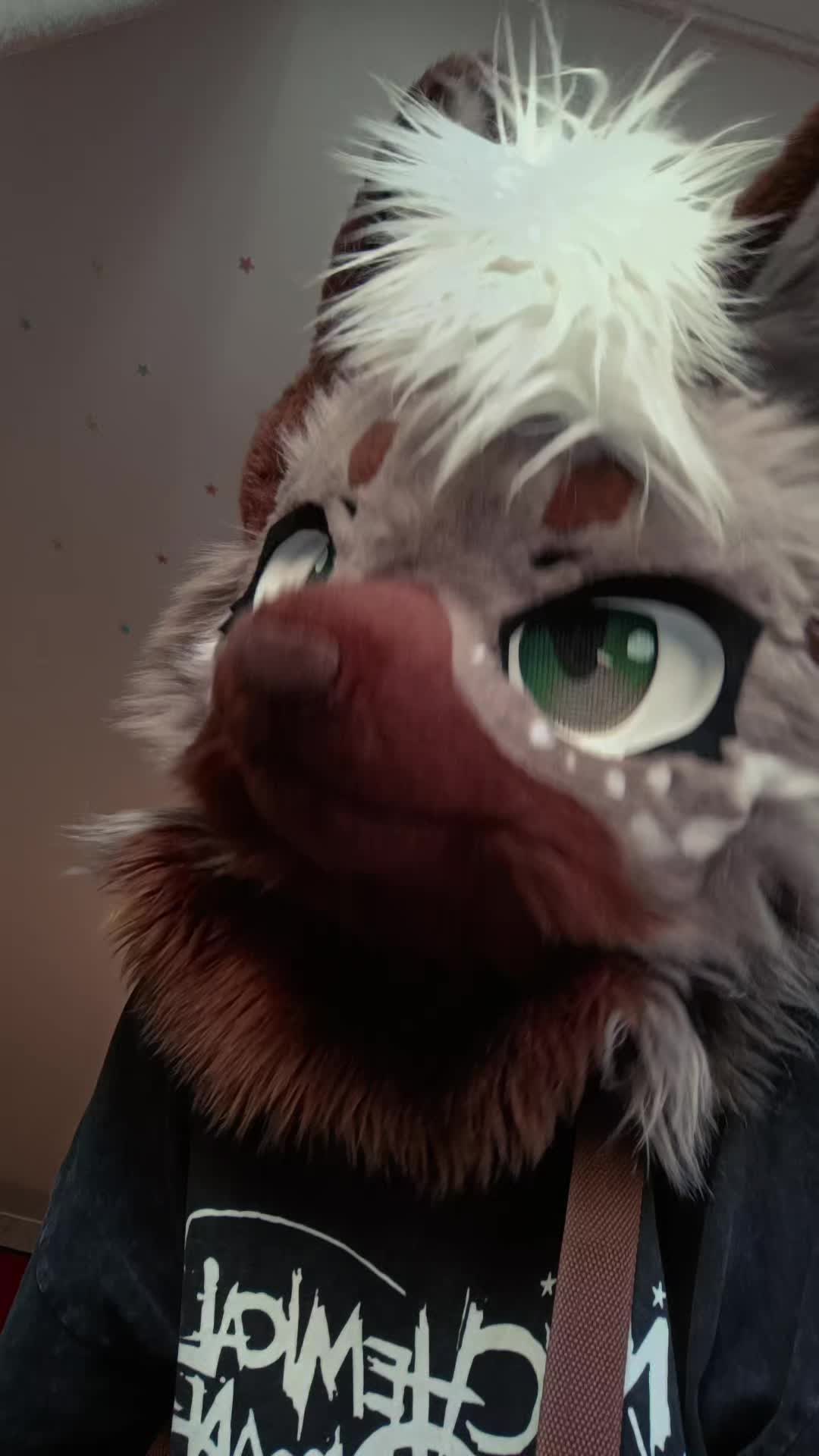 @LeraWolf_workshop