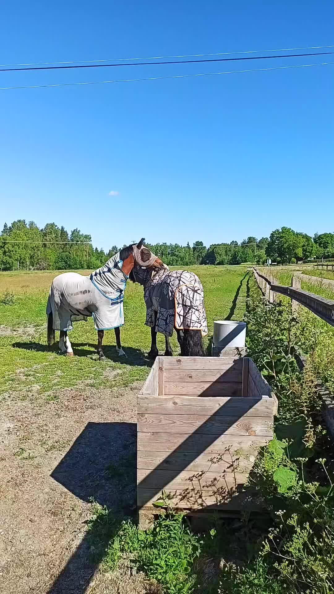 @ErnstVanDeGelderdijk