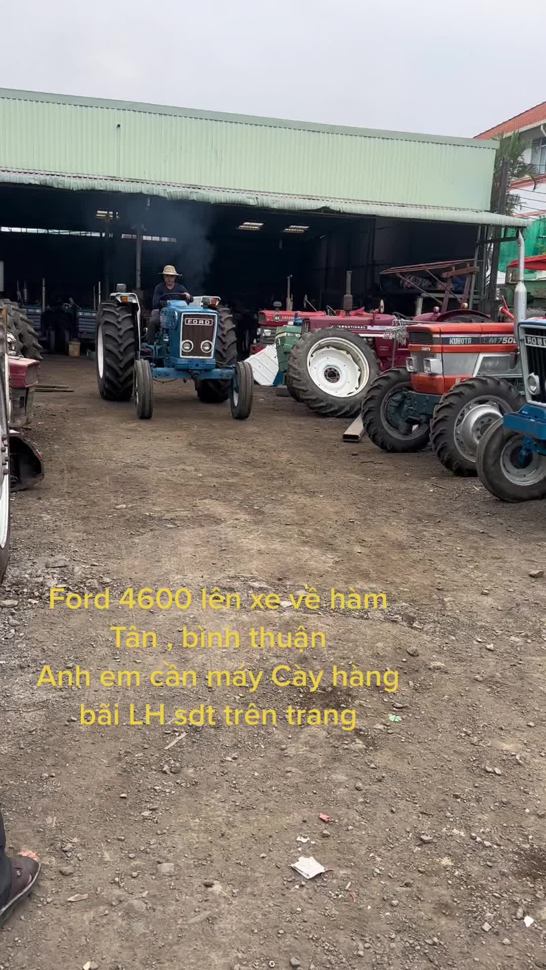 @M&aacute;y C&agrave;y H&ugrave;ng Ph&aacute;t