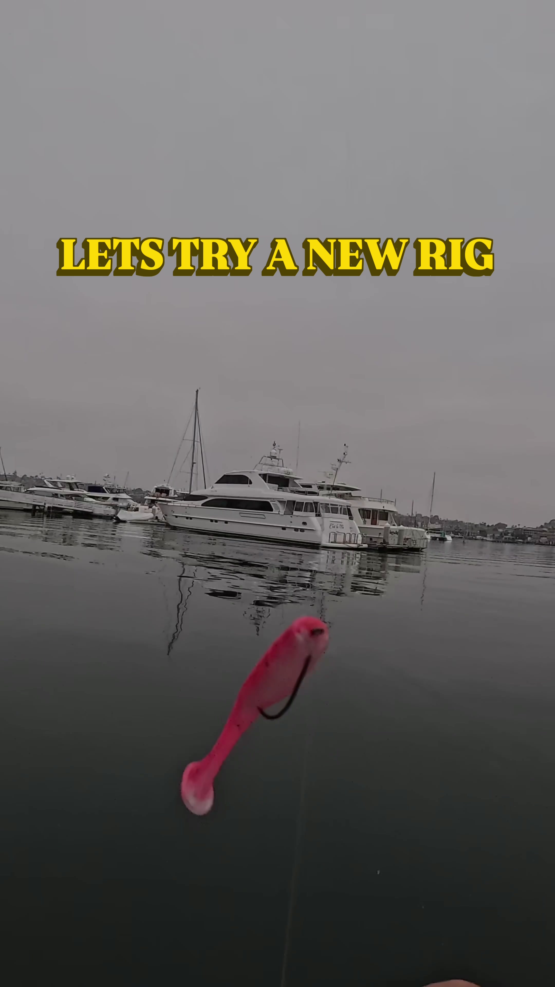 @BP FISHING