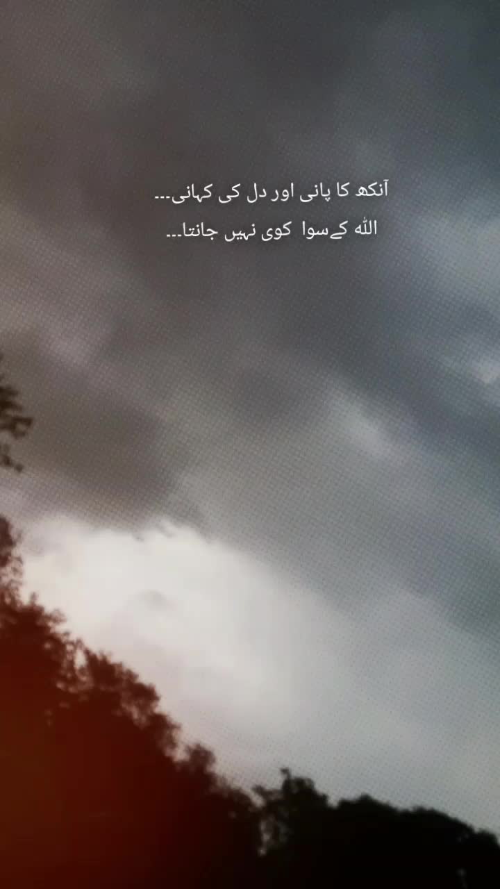 @🦅 عبداللہ 🚩