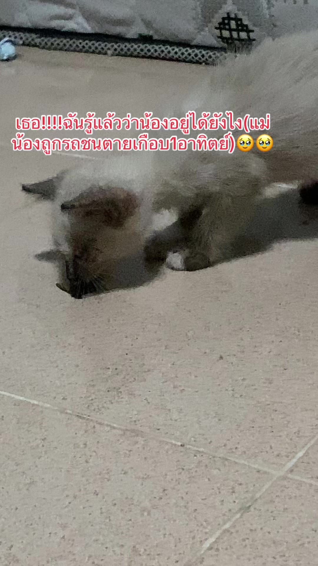 @ป้าข้างบ้าน🙄🙄