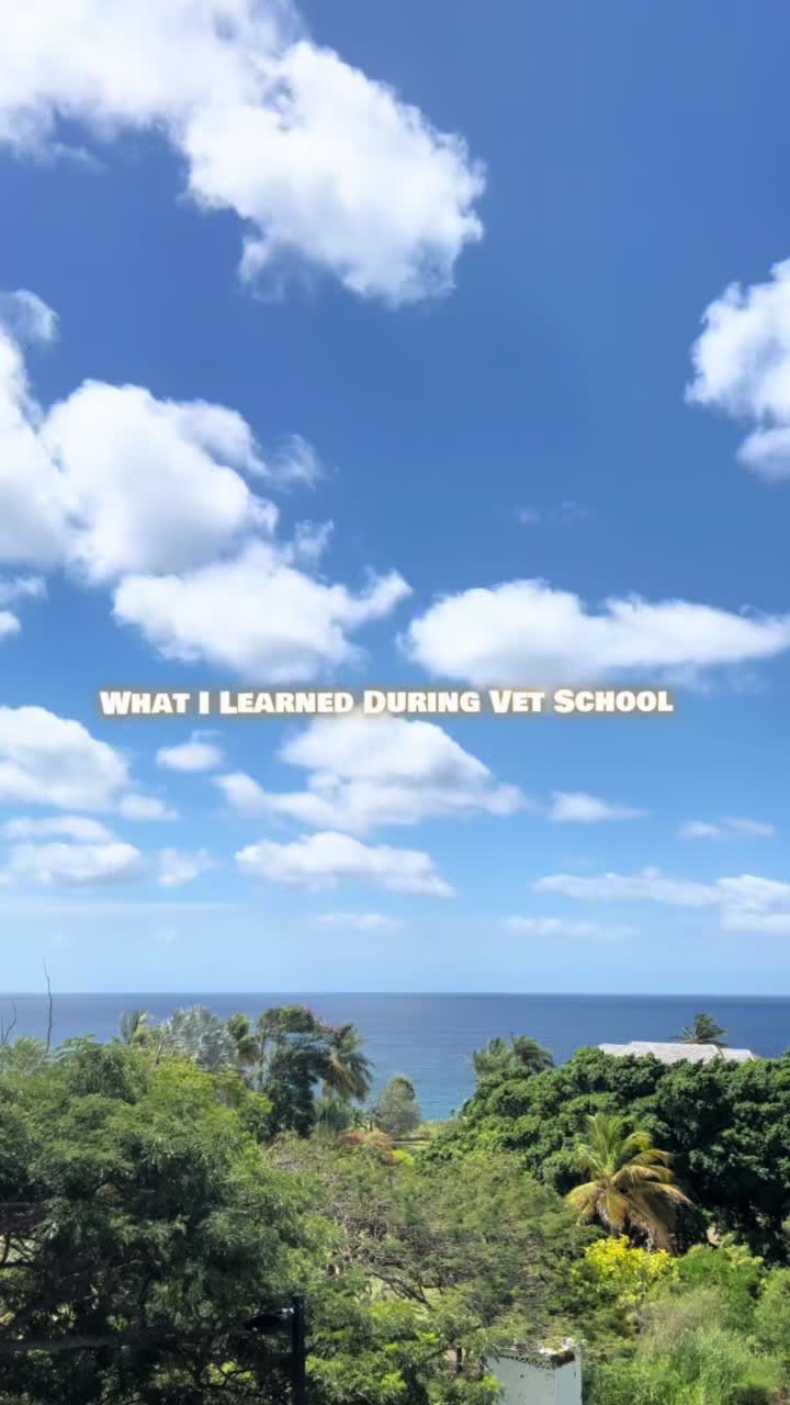 @lau