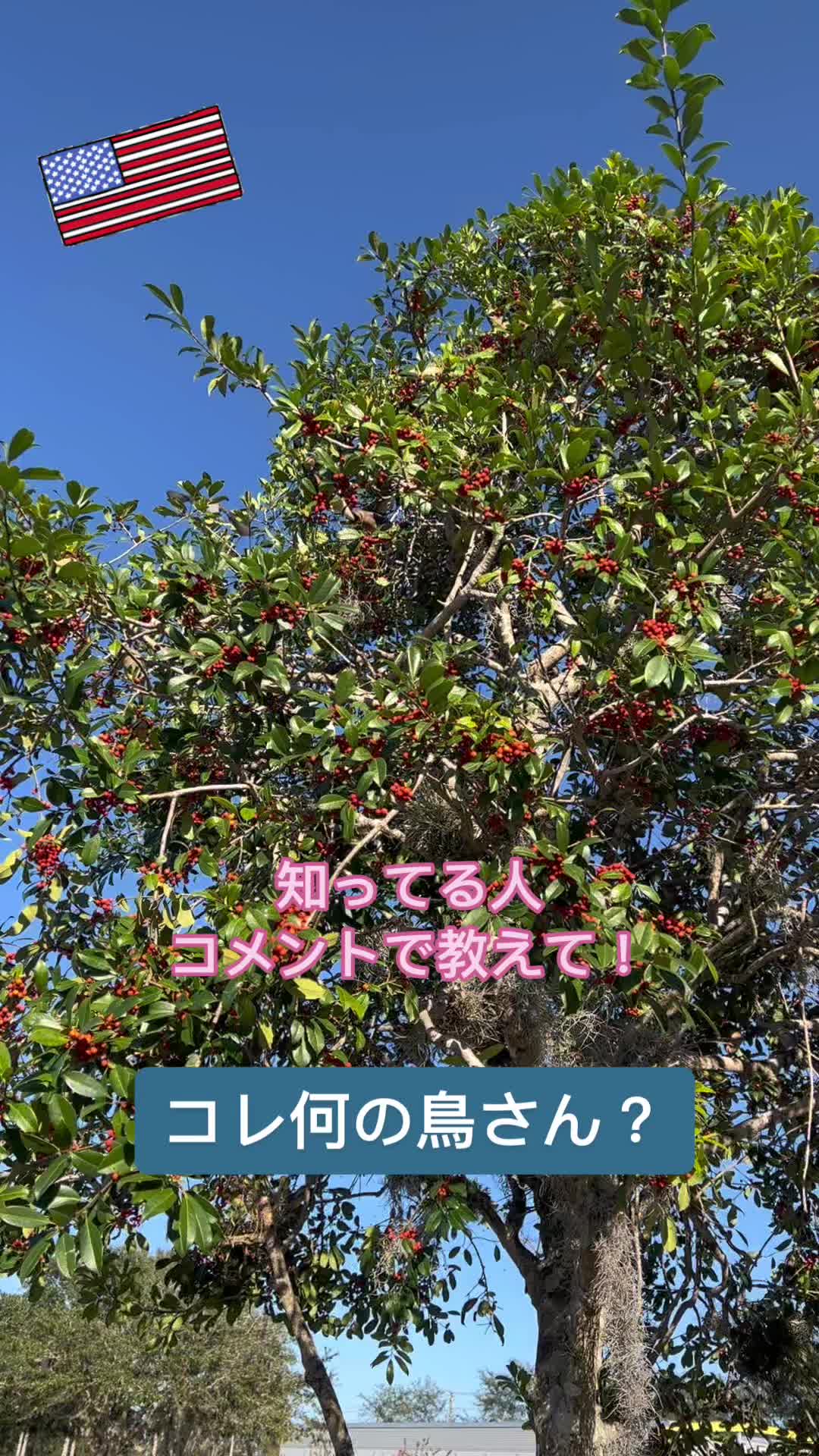 @mi_USA