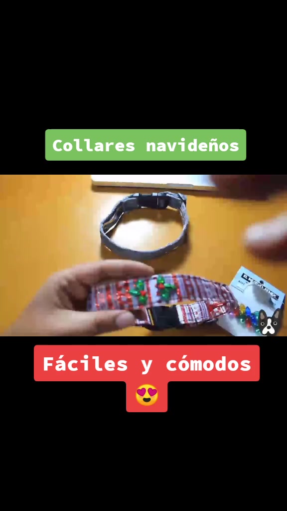 @Mascotas Fashion