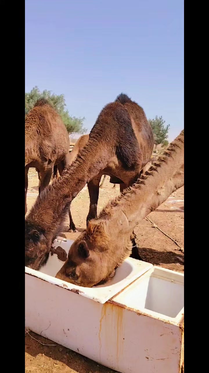 @الزمن الجميل