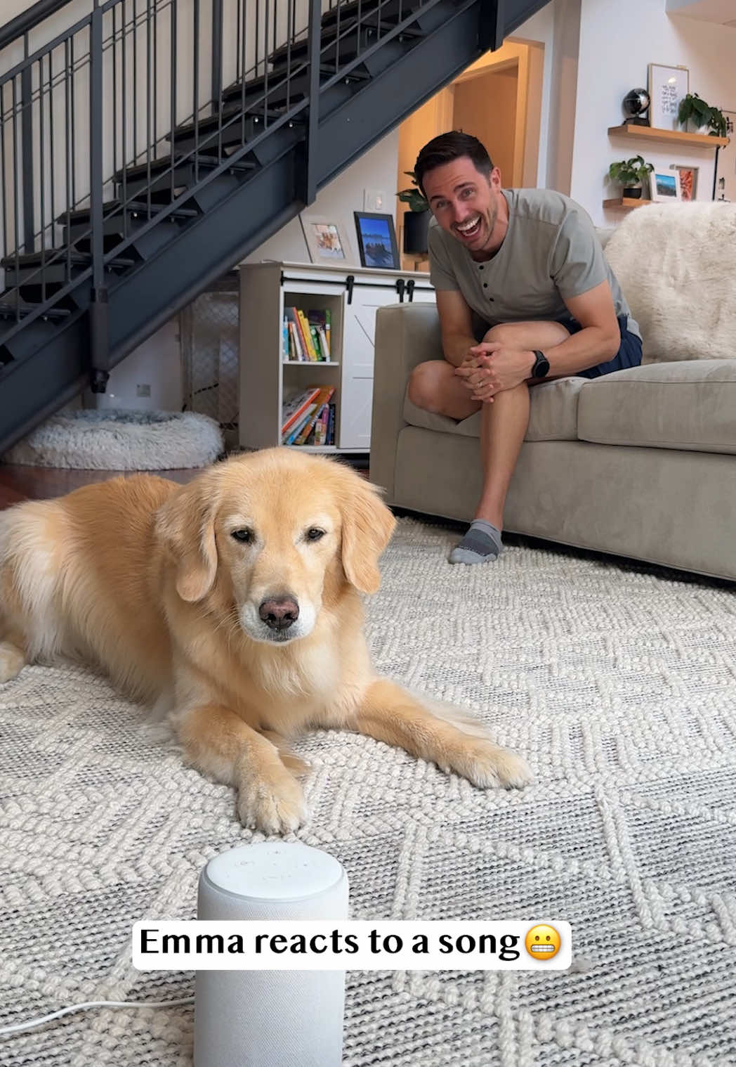 @Golden Retriever Life