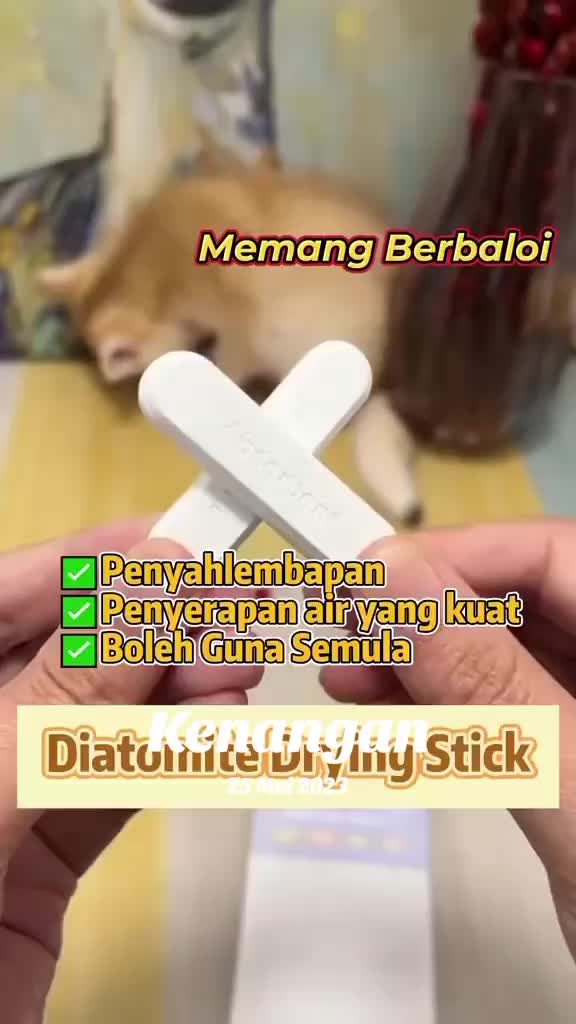 @Pecinta Kucing