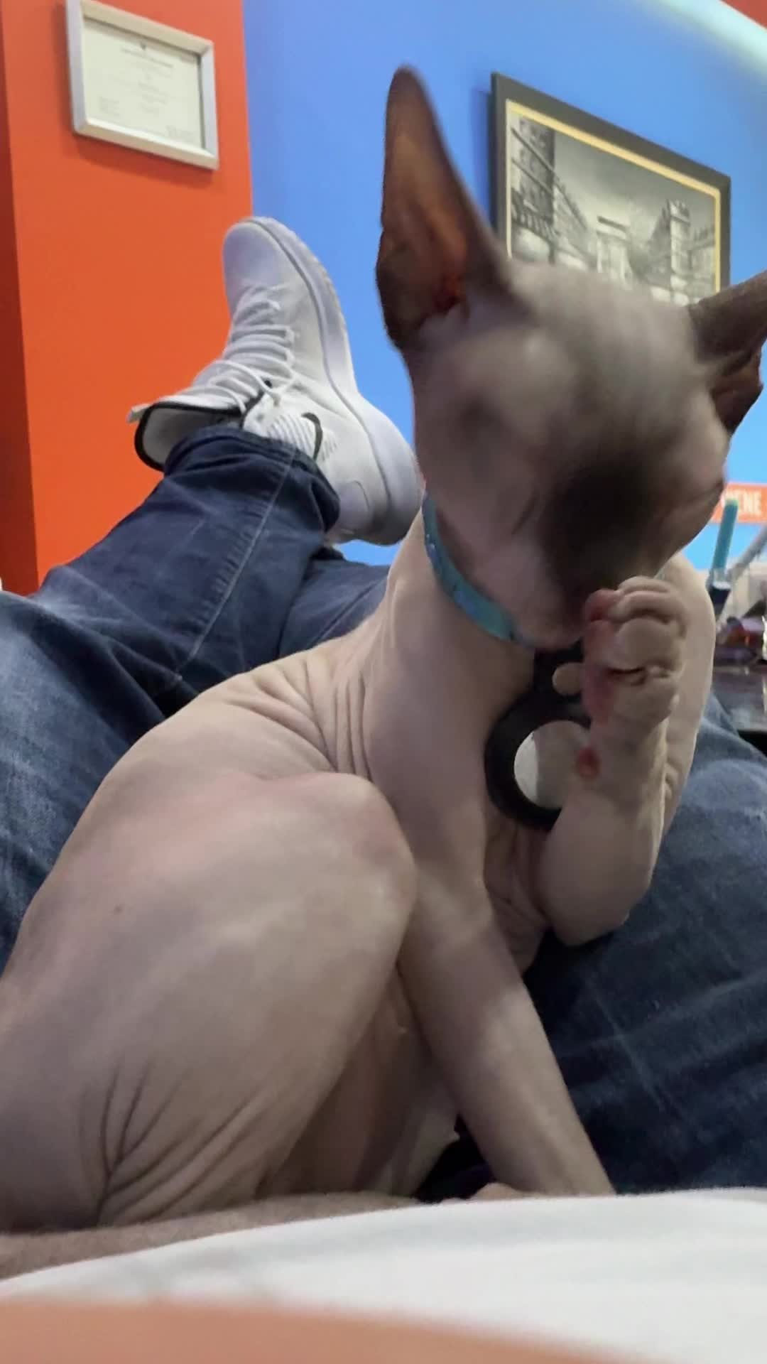 @lord.hugo