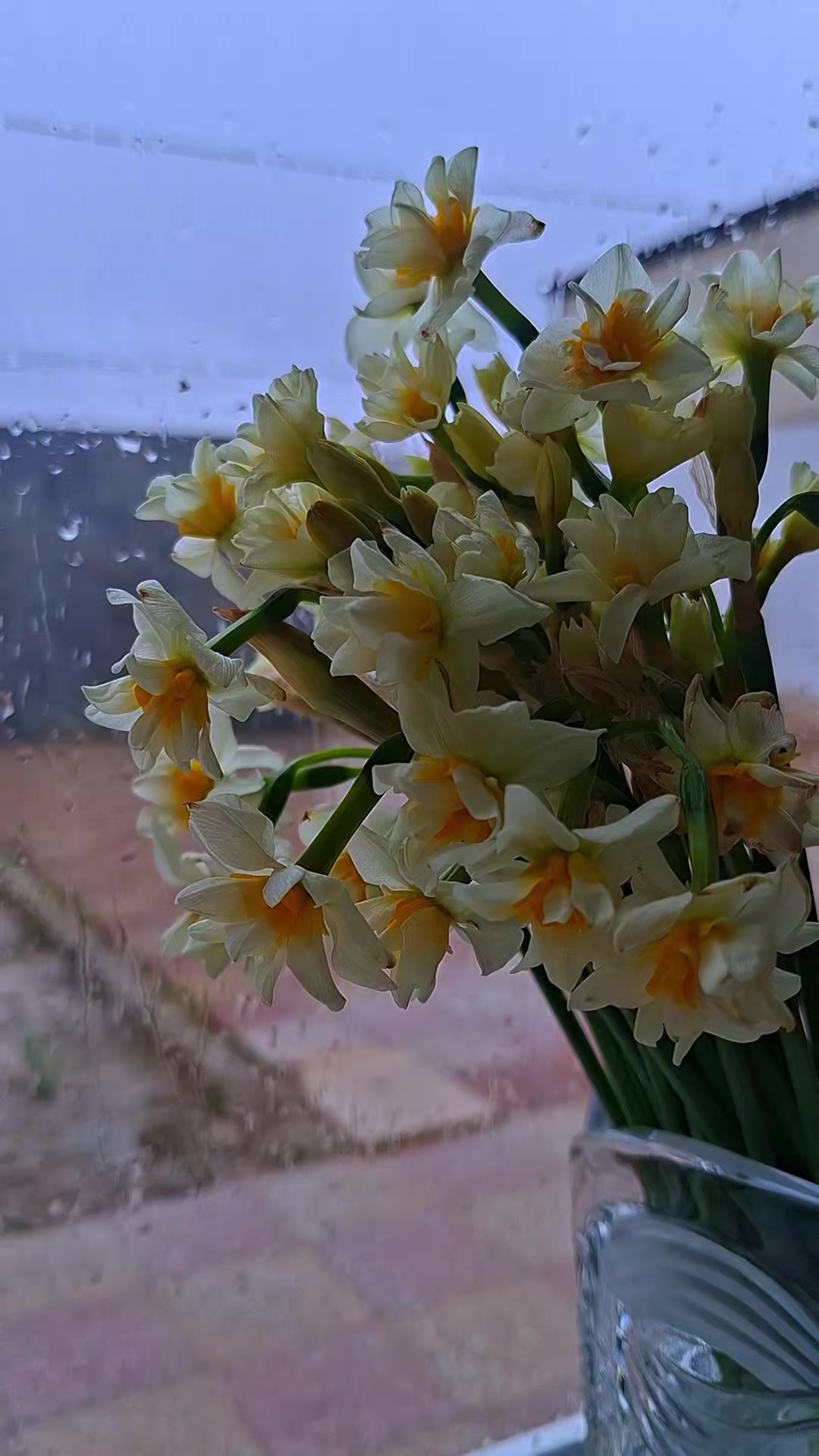 @𝓐𝓻𝔃𝓾_𝓜𝓪𝓭𝓪𝓭𝓸𝓿𝓪