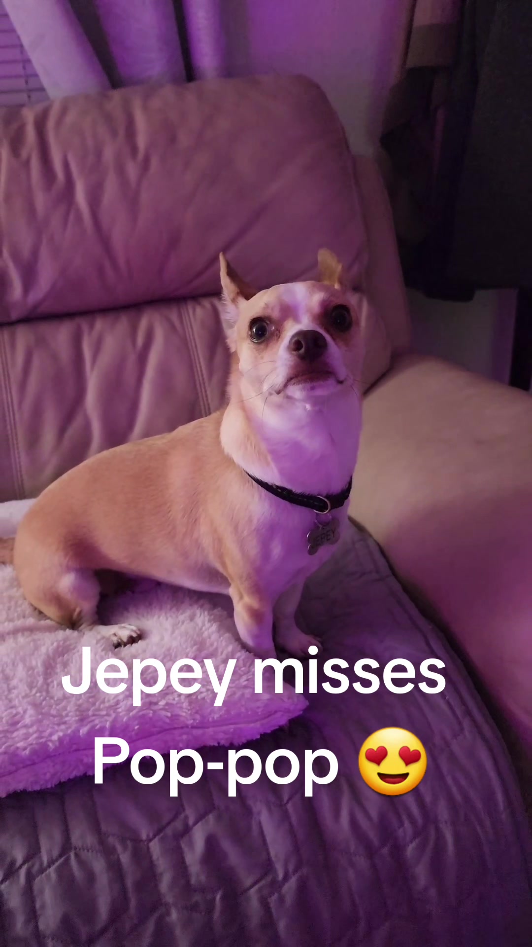 @Dré