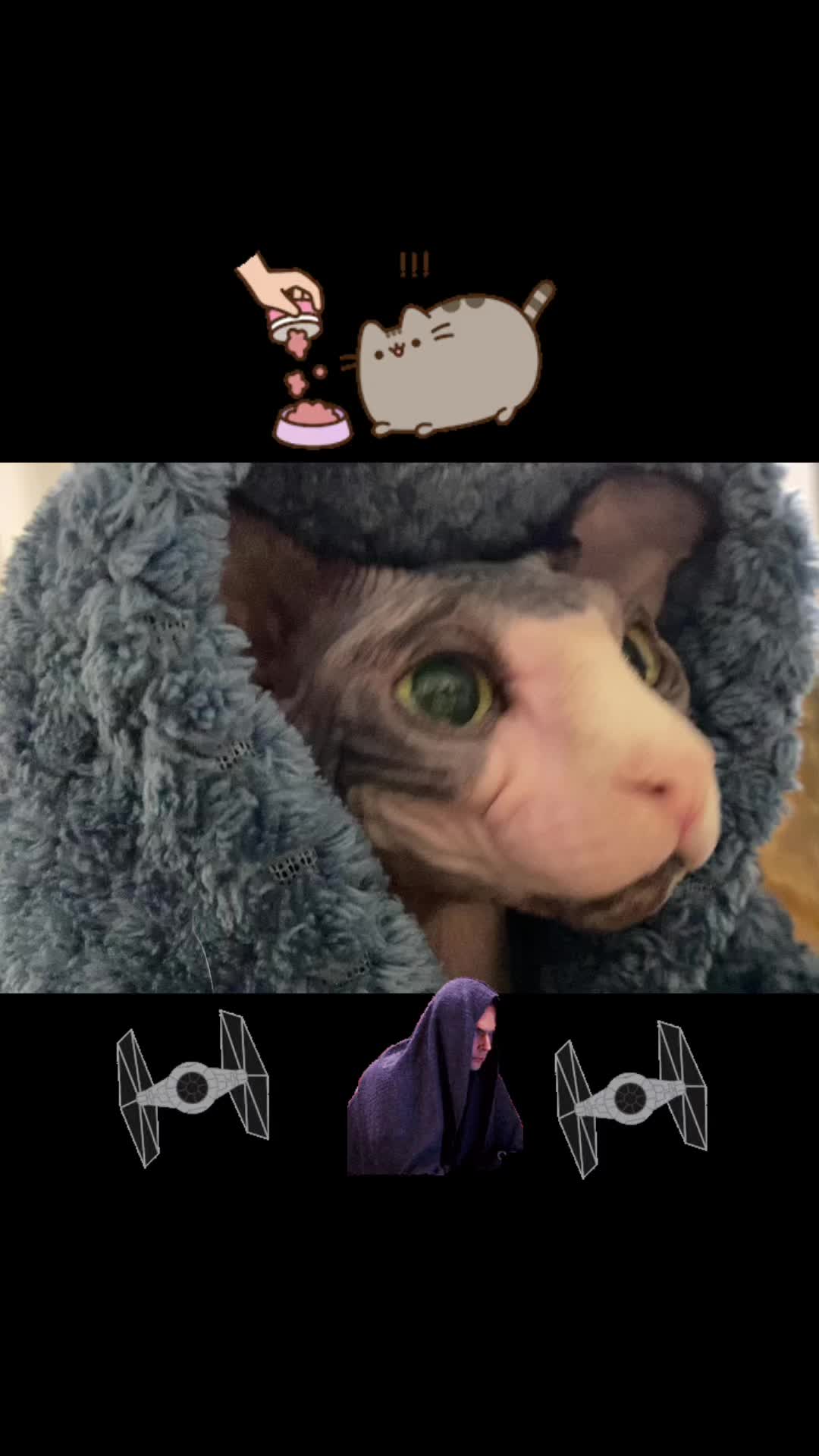 @SquiggyTok