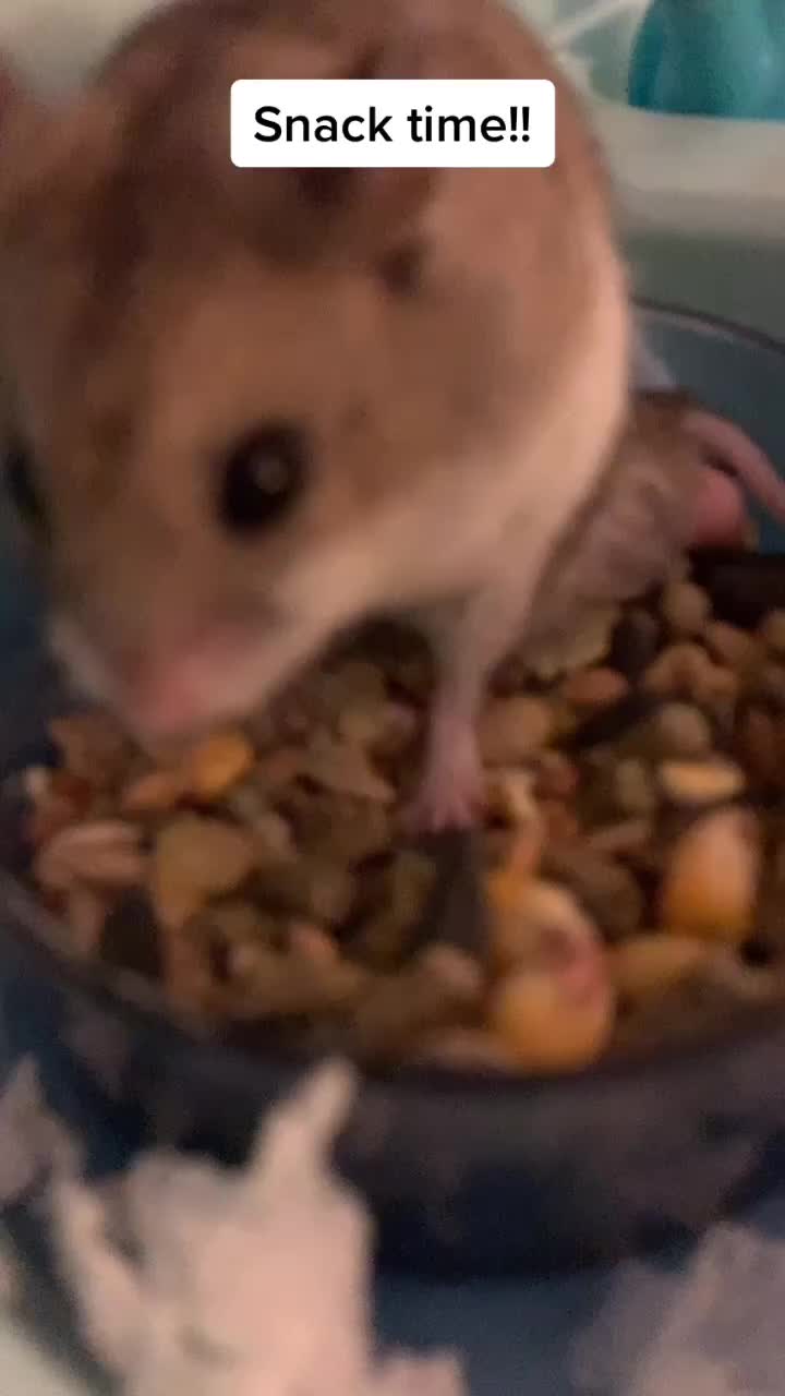 @Hi I’m bob let’s be friends!!!