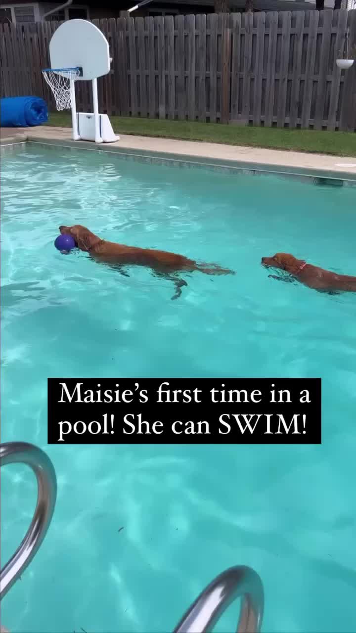 @Emmie & Maisie