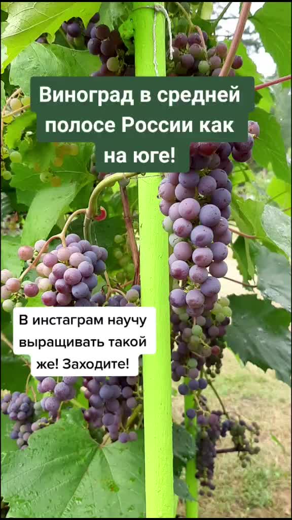 @Дача мечты