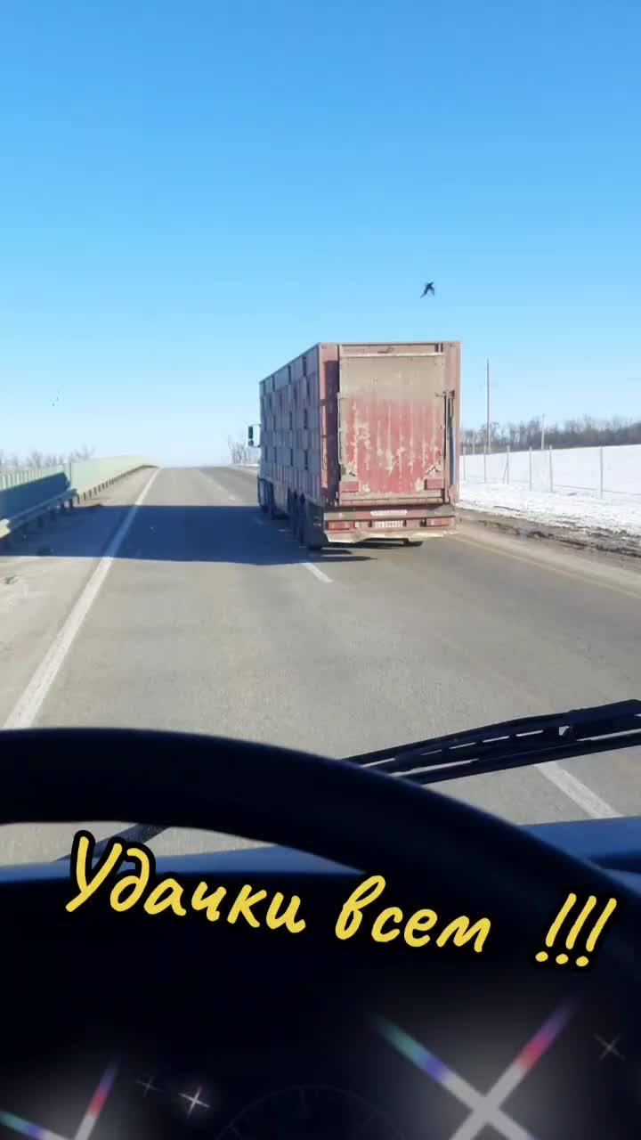 @Сергей