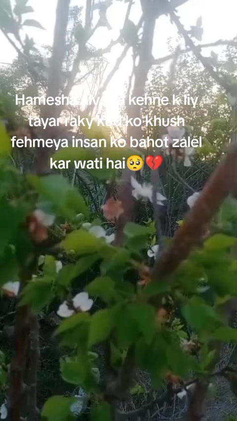 @Heer khanii 💕💖