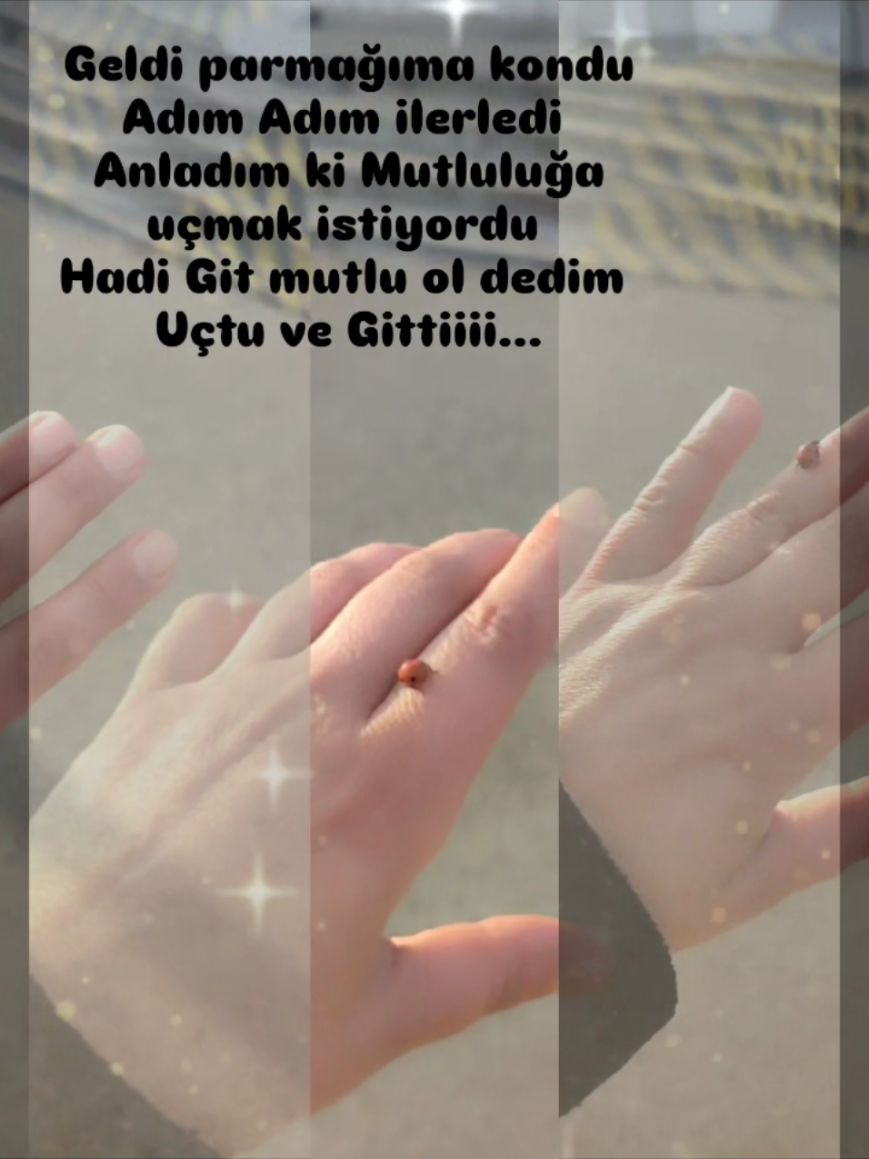 @Semra.yıldırım