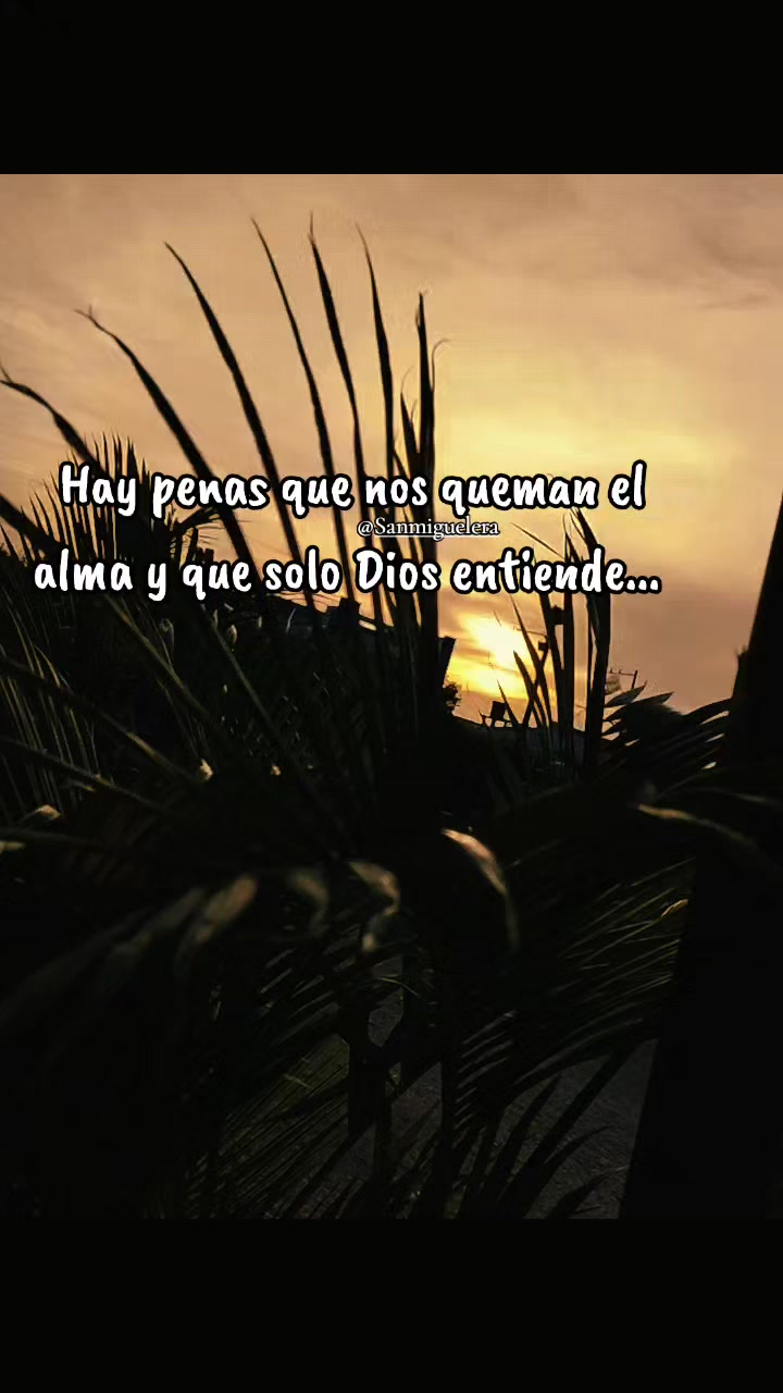 @Sanmiguelera