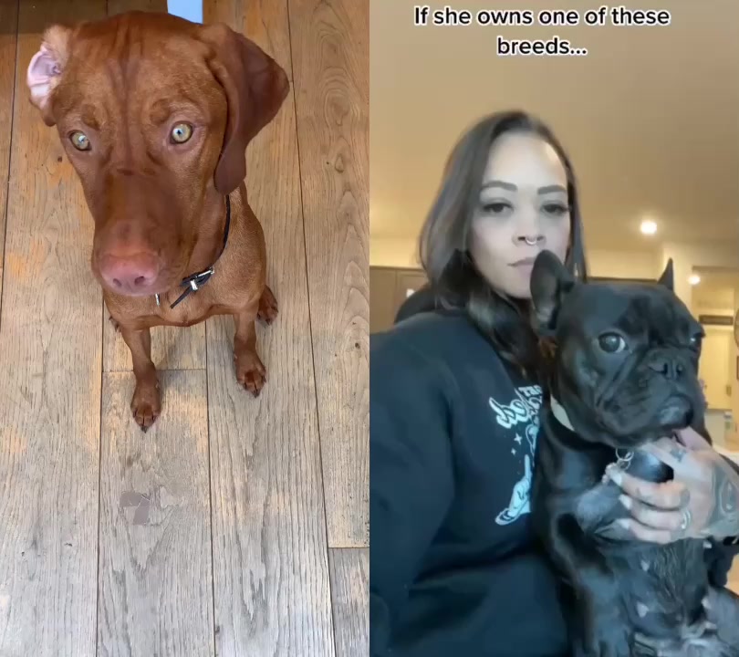 @Just that adorable pup