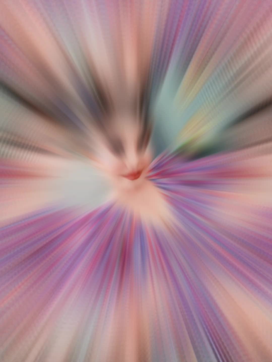@🌙🅰🆈🅶🆄🅻🌹