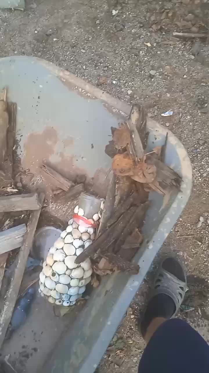 @Тёма