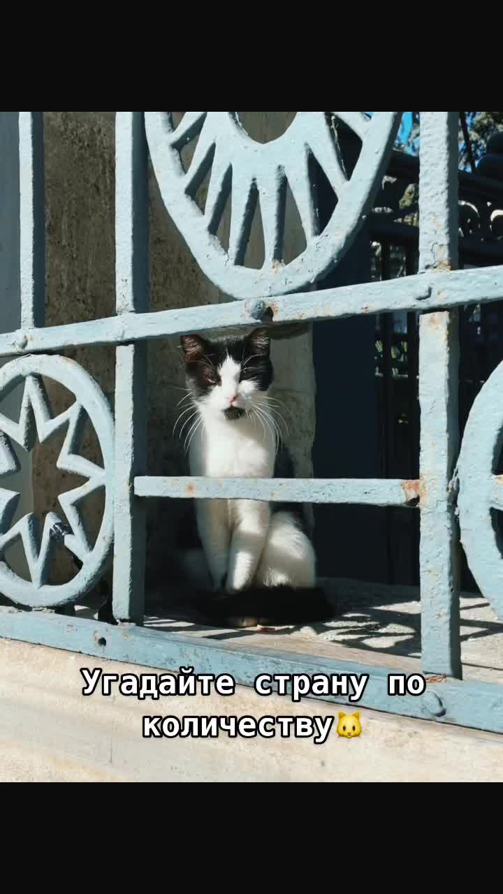 @Katrina