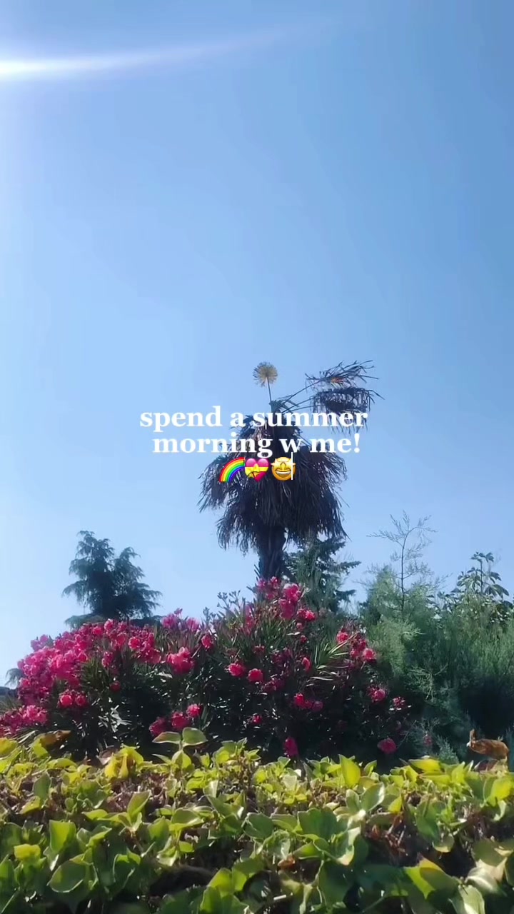 @vlogssnuut