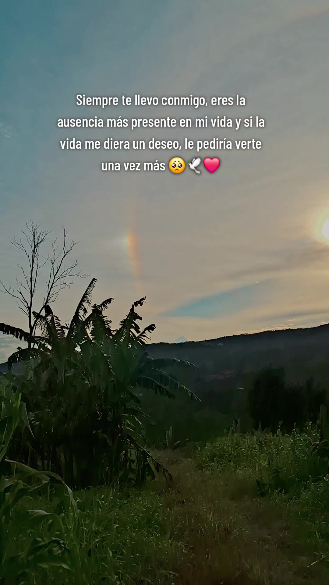 @Mirella Cabrejos