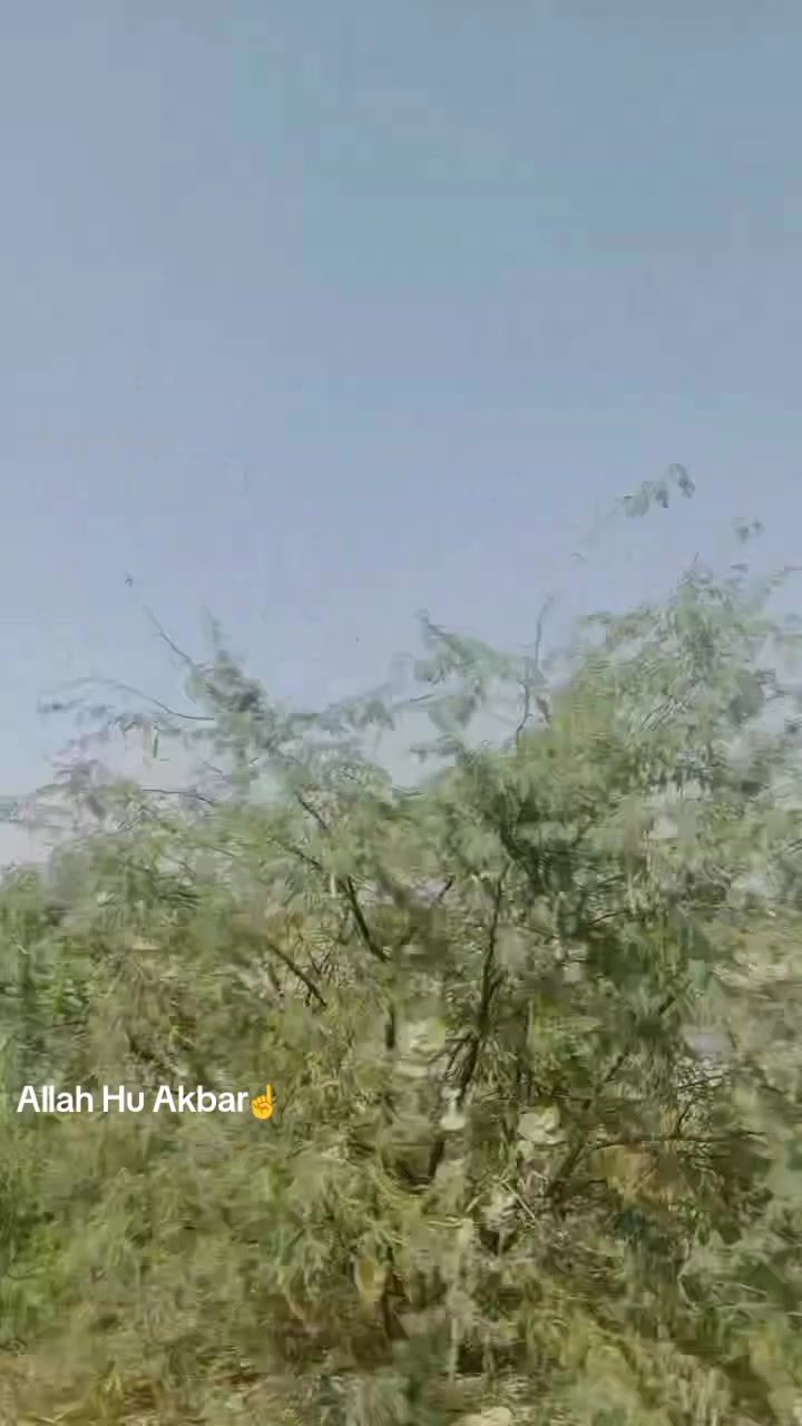 @⚠️⛓️arbaaz Ali 🥃😟