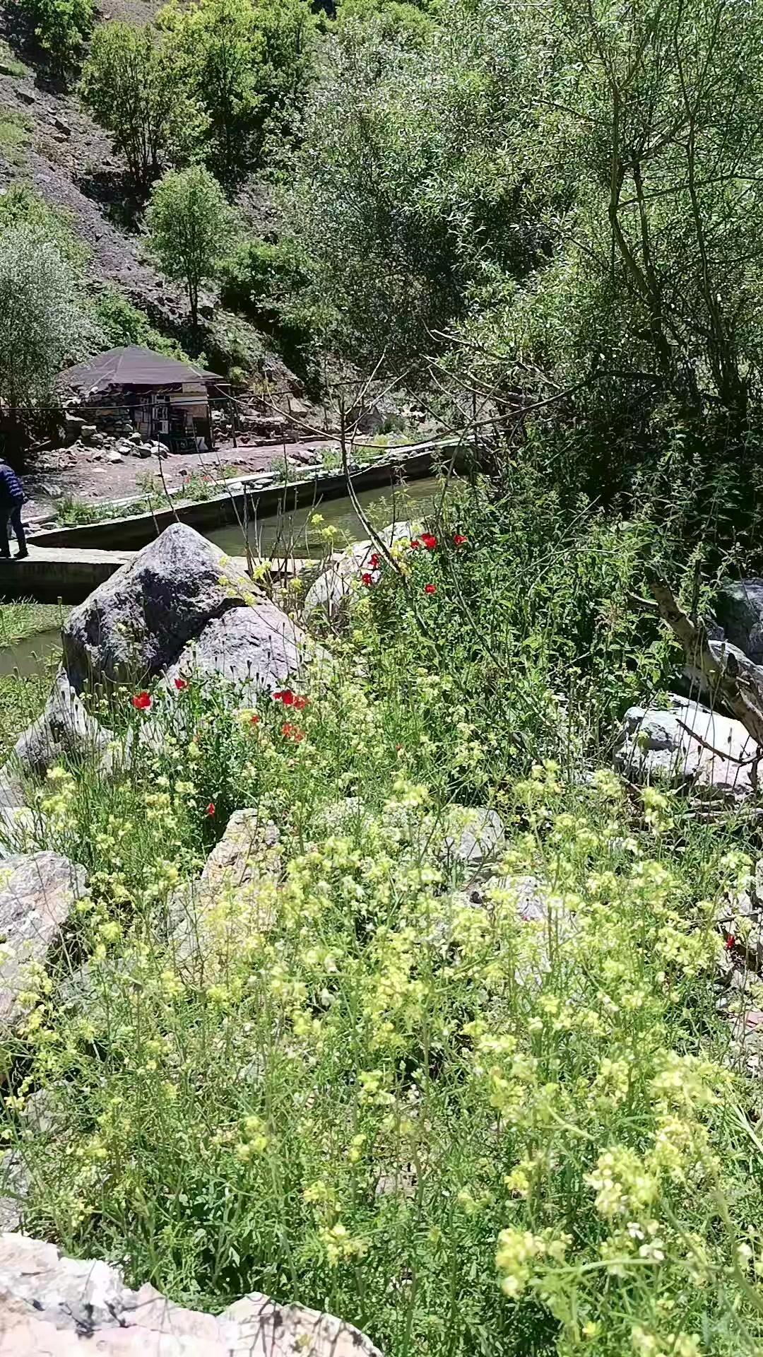 @Hanife A&ccedil;ıkg&ouml;z Kolsuz